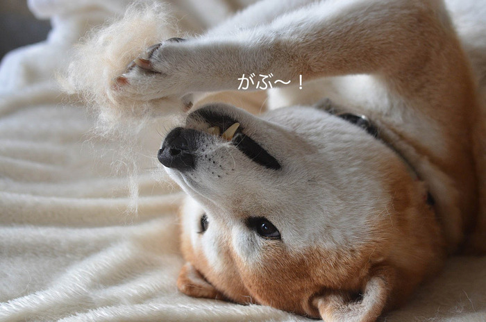 29日ブログ4