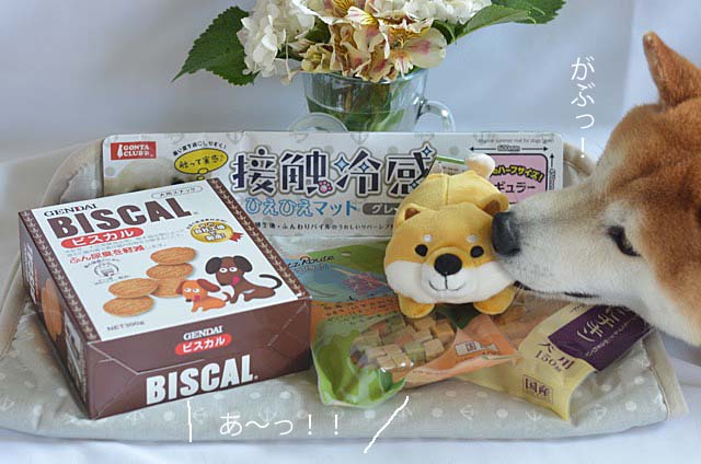 21日ブログ8