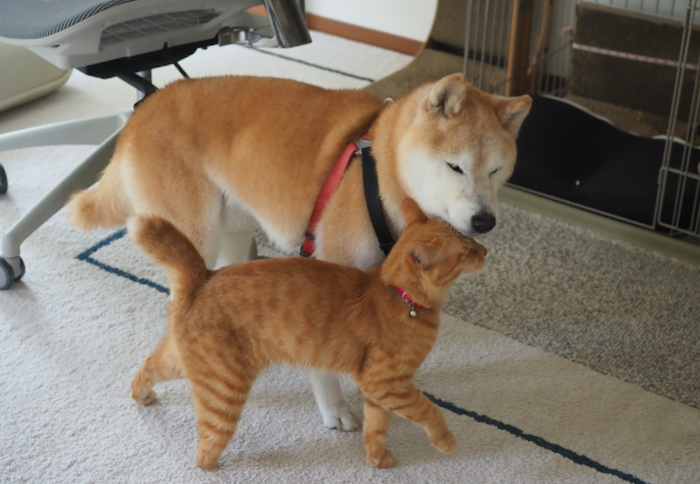 15日ブログ用２