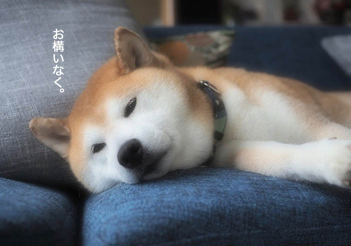 29日ブログ７