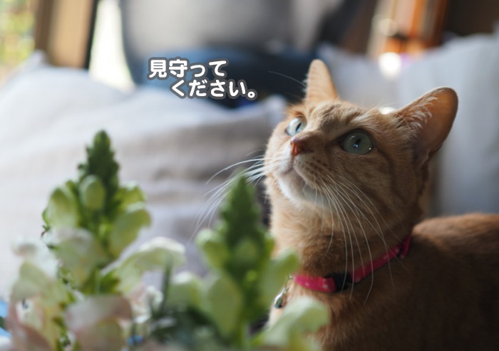 31日夜ブログ13