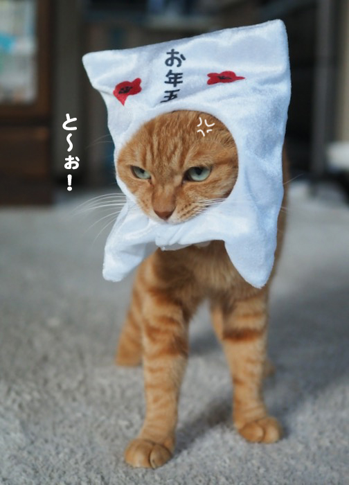 5日ブログ２