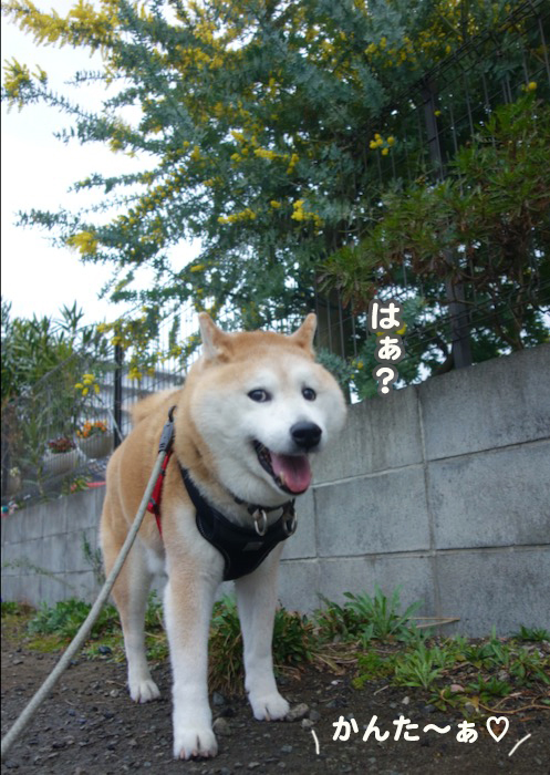 12日ブログ３