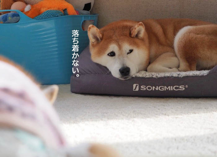 3日夜ブログ３