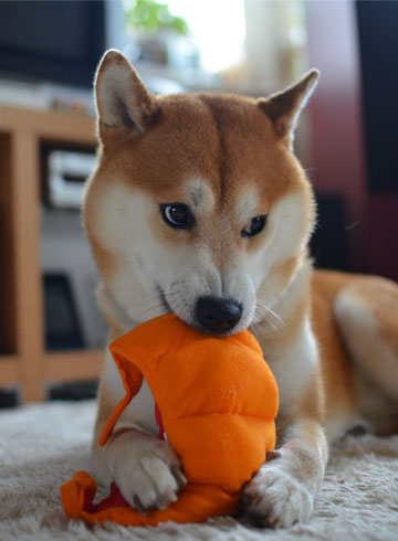 29日ブログ3.jpg