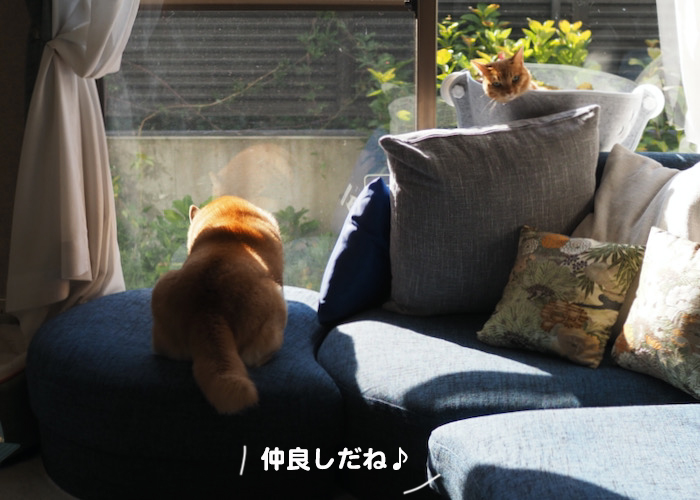 28日夕ブログ５