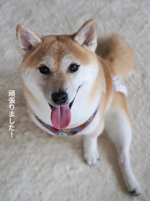25日ブログ3