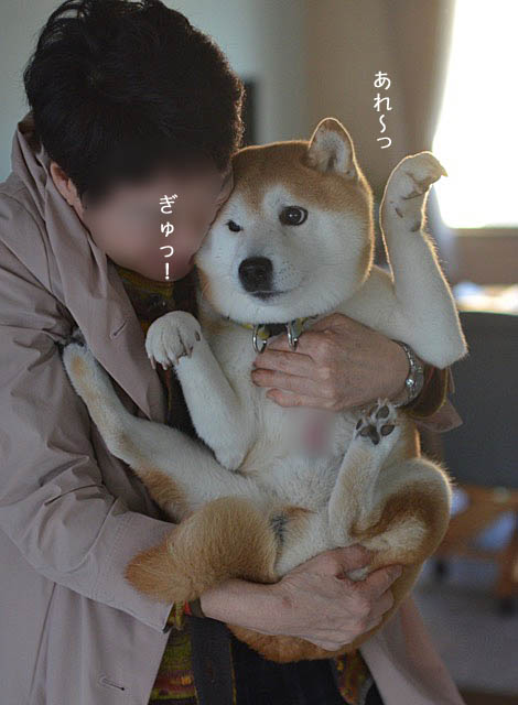 27日ブログ9