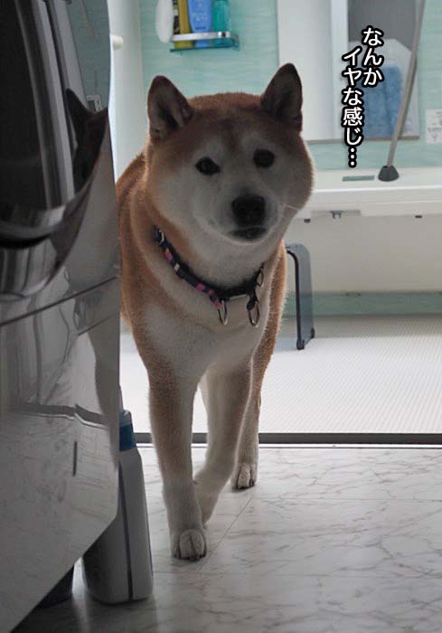 30日ブログ４