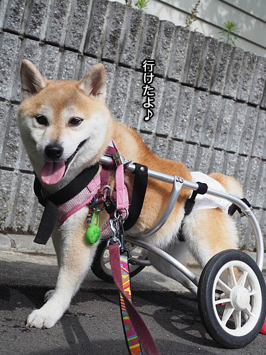 28日ブログ２