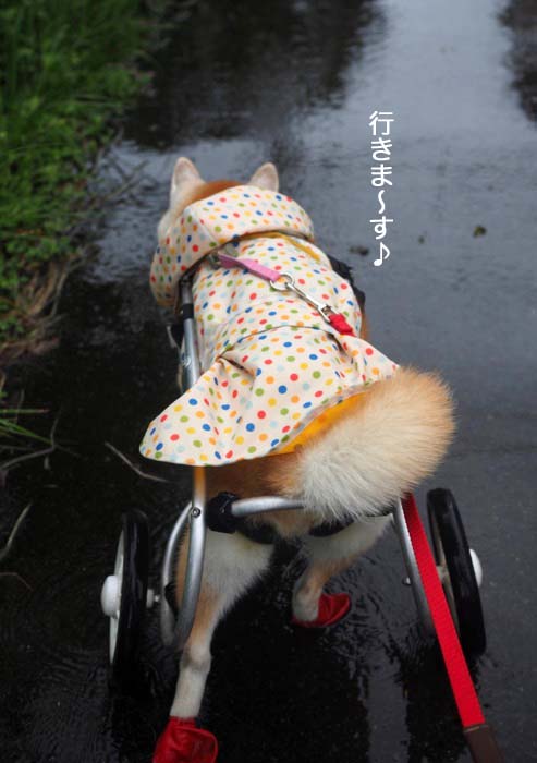 19日ブログ4