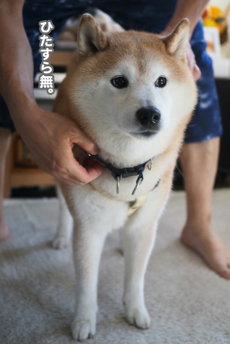 14日夕ブログ６