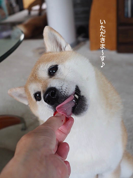 4日夜ブログ４