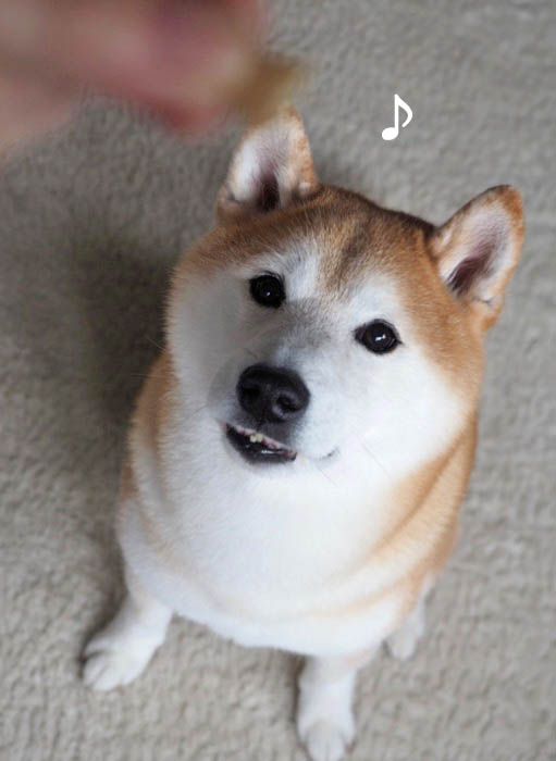 25日ブログ１１