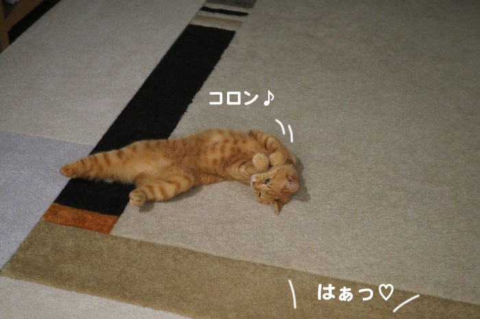 19日夕ブログ２