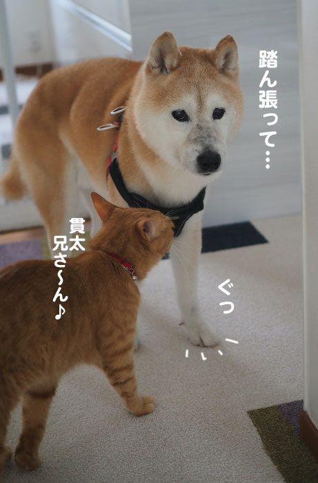 16日夕ブログ４