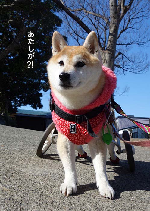 8日ブログ１