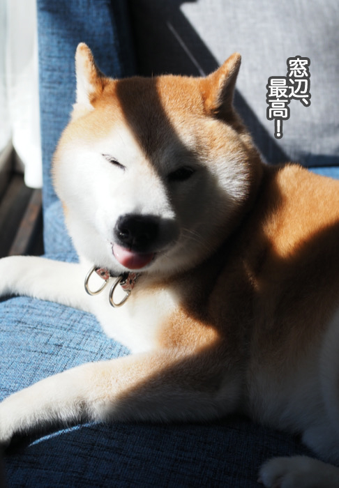 14日午前ブログ２