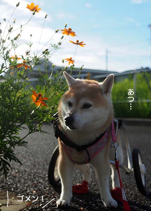 21日ブログ２