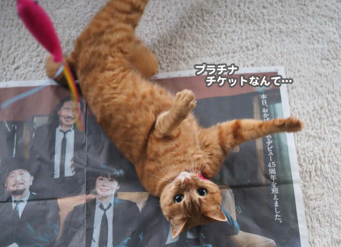 29日ブログ４