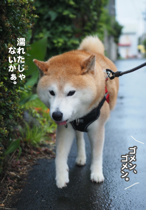 13日夜ブログ２