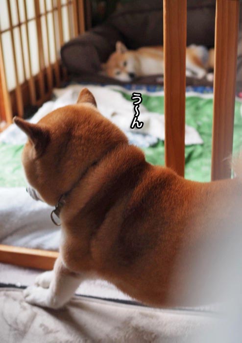 10日ブログ７