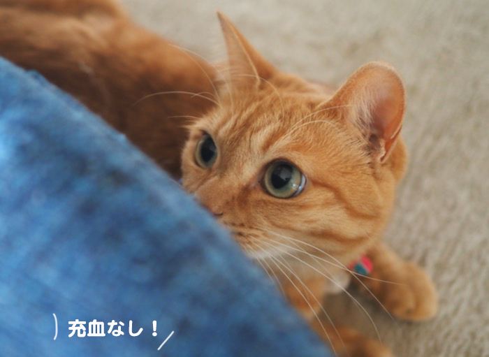 18日ブログ５