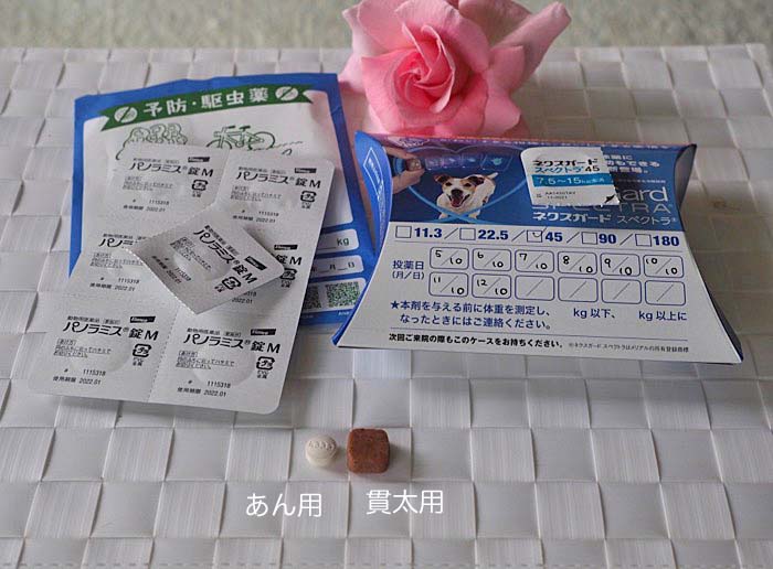 11日ブログ３