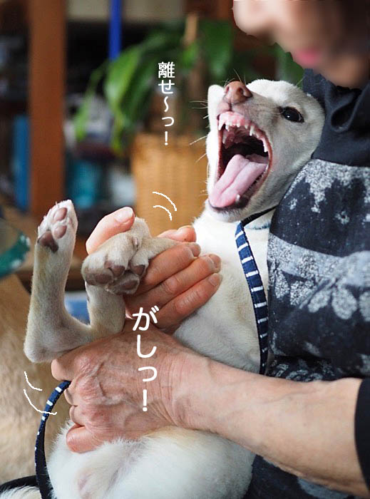 24日ブログ11