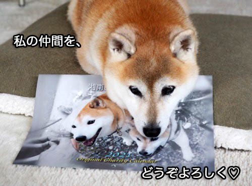 2日夜ブログ１０
