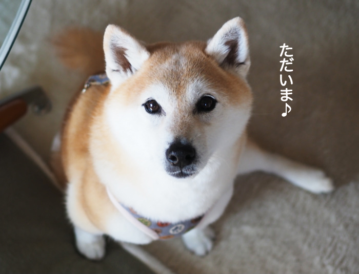 17日夜ブログ８