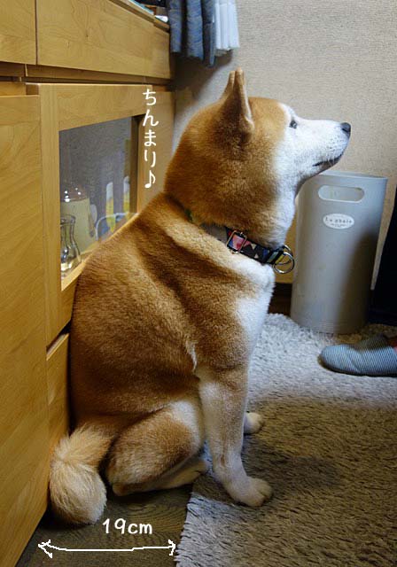 14日ブログ4
