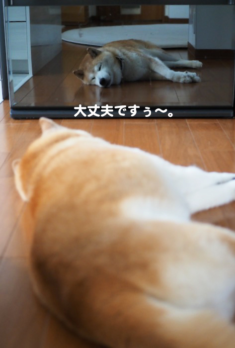 20日夕ブログ２