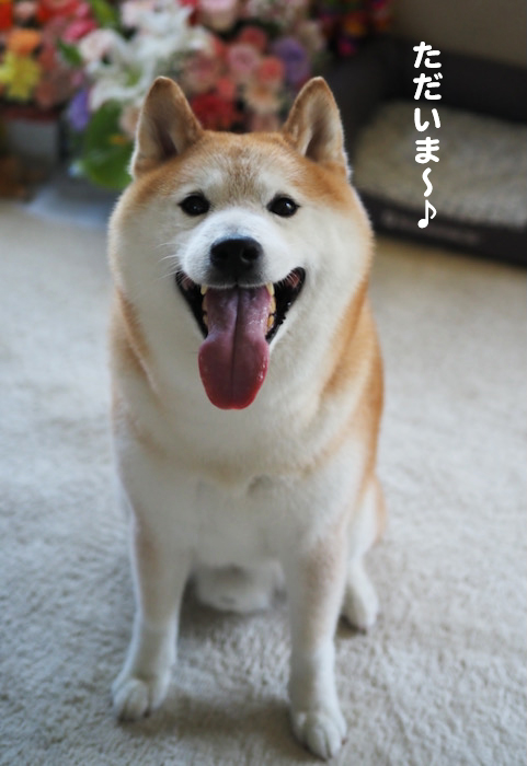 3日ブログ１