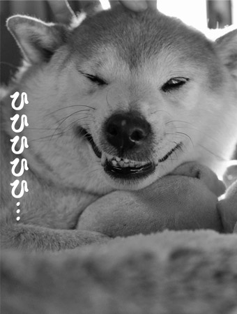20日ブログ８.jpg