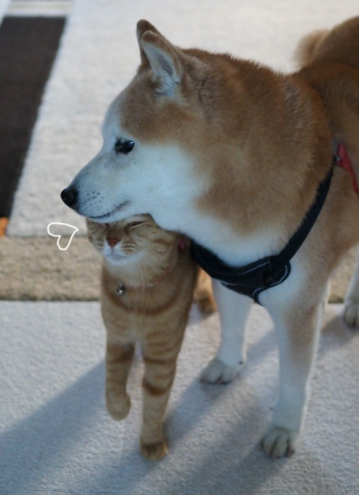 31日夕ブログ１０