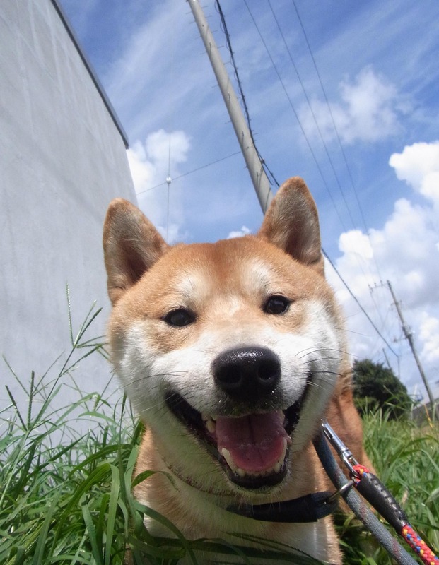 1貫太紹介用3