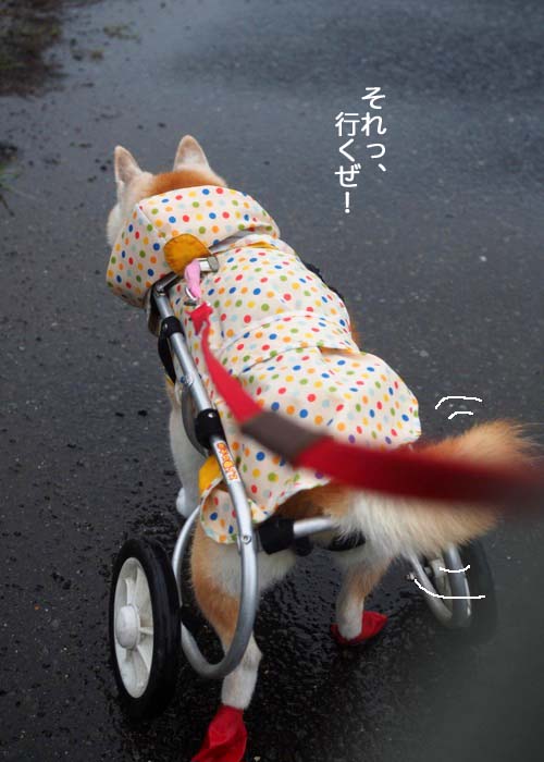 15日夕ブログ２