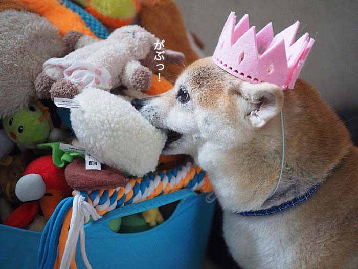 7日ブログ７