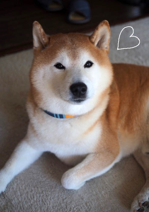18日ブログ３