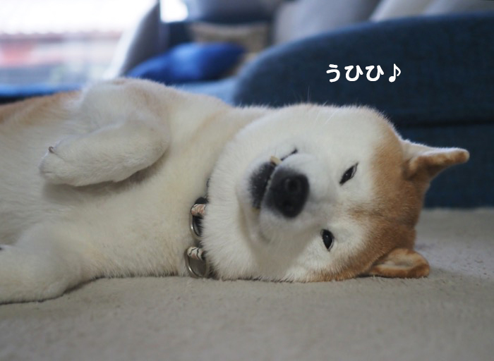 19日ブログ５