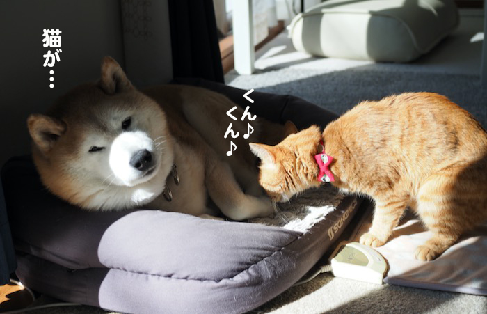 30日夕ブログ3