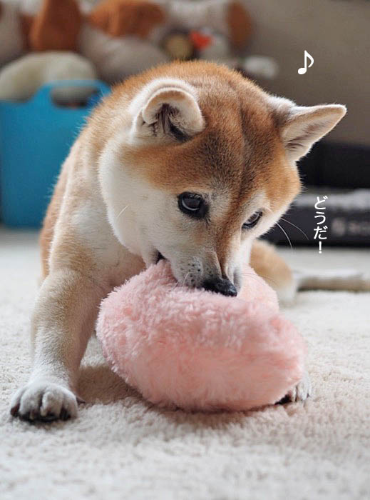18日午後ブログ４