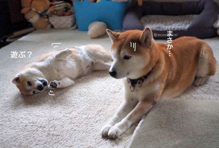 23日ブログ６