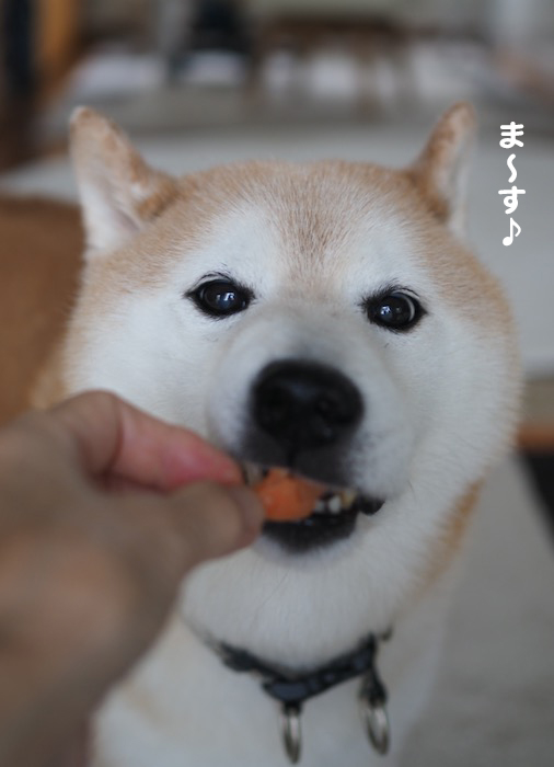 6日夜ブログ５