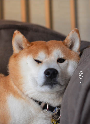 14日ブログ５.jpg