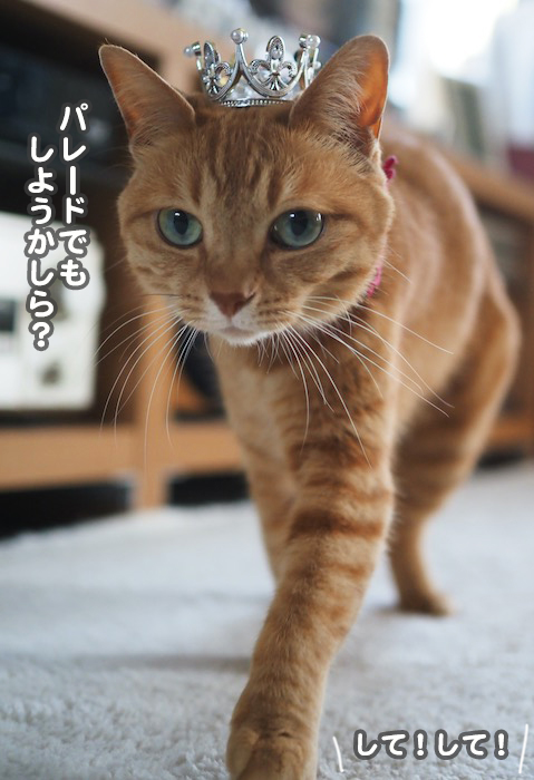 6日夕ブログ５