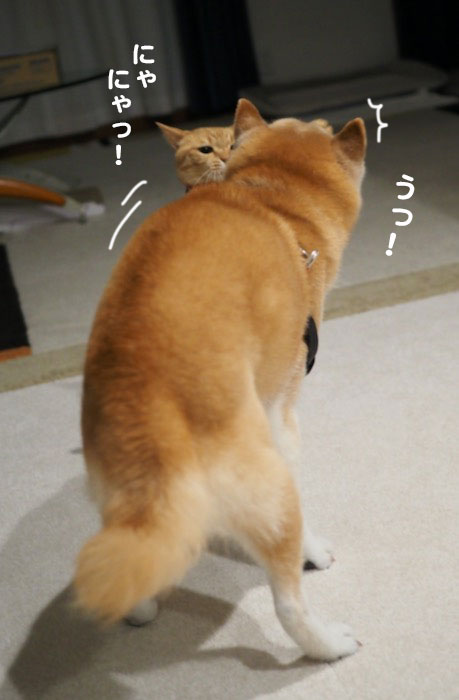 26日ブログ２