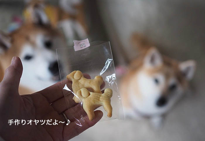 19日午後ブログ５