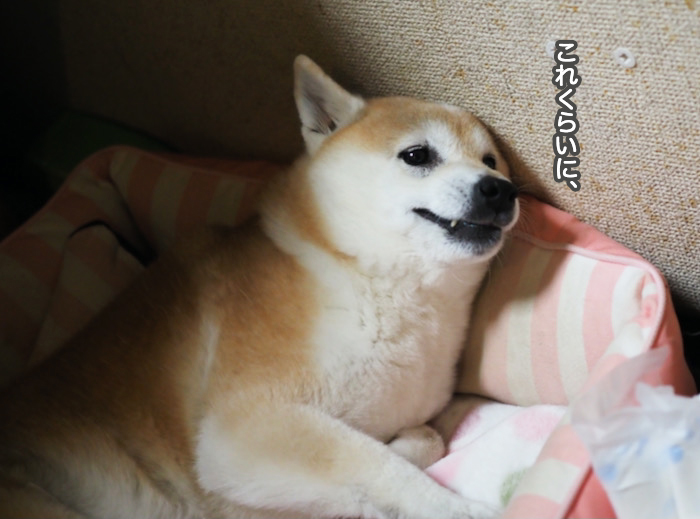 24日夜ブログ１０